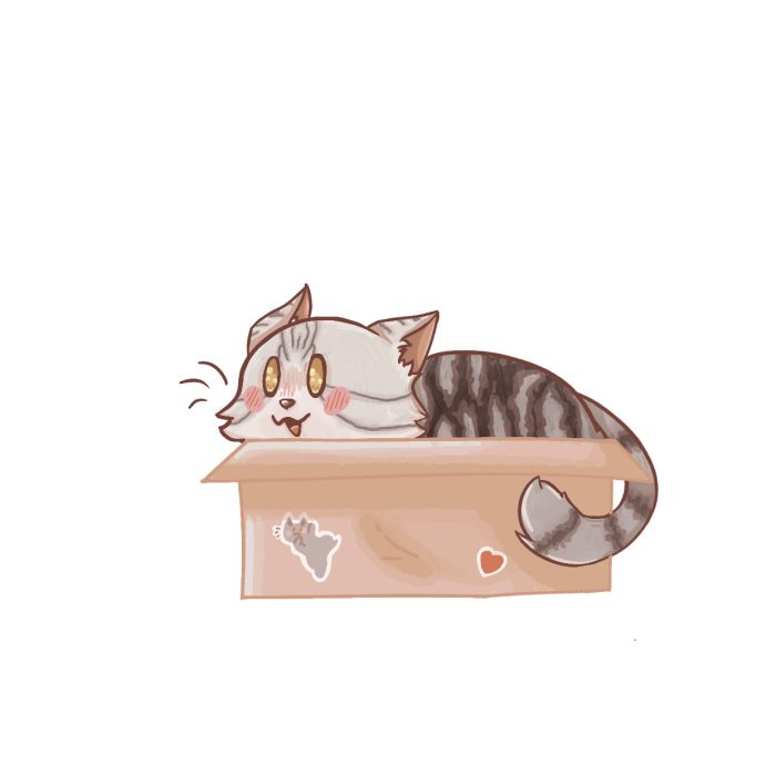 Cat in a box